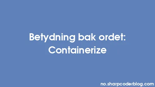 Betydning bak ordet: Containerize - Thumbnail