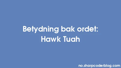 Betydning bak ordet: Hawk Tuah - Thumbnail