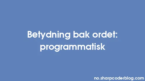 Betydning bak ordet: programmatisk - Thumbnail