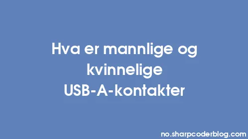 Hva er mannlige og kvinnelige USB-A-kontakter - Thumbnail