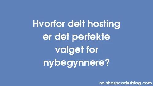 Hvorfor delt hosting er det perfekte valget for nybegynnere? - Thumbnail